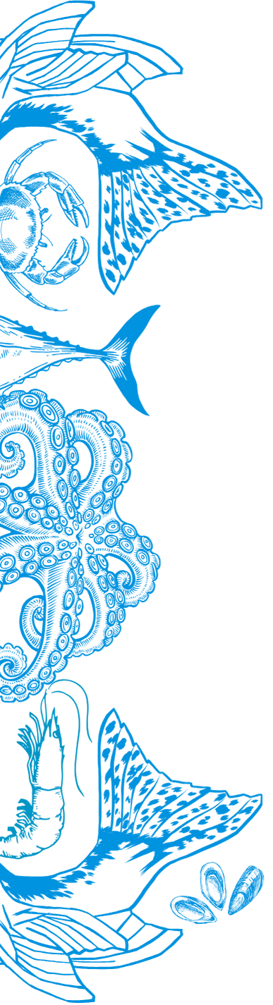 Fish Image